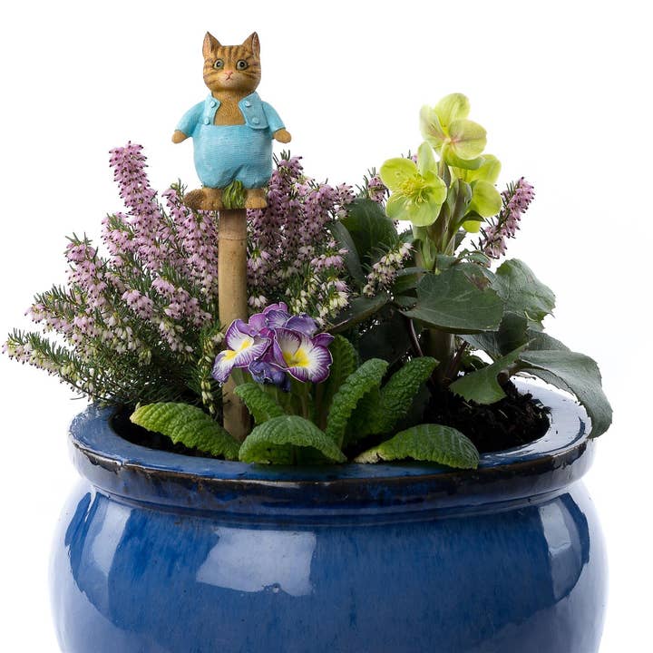 Topper per bastoncino o paletto Beatrix Potter Tom per la vendita all'ingrosso da parte di Jardinopia UK