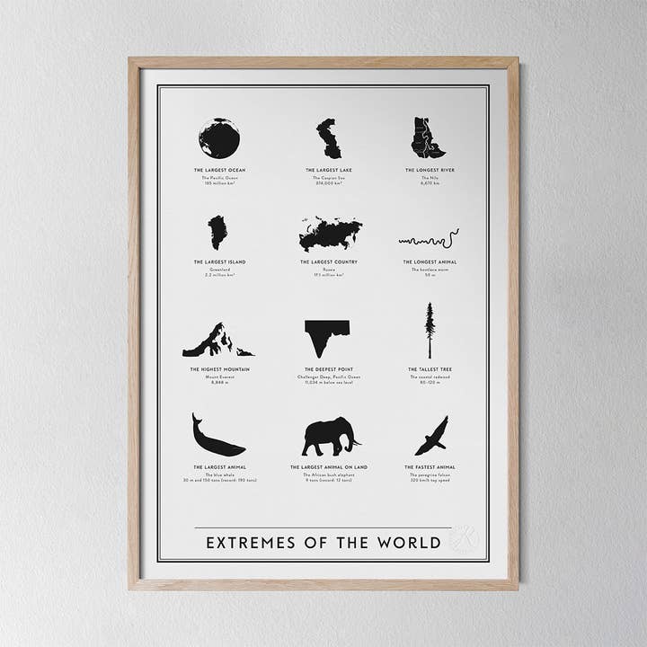 Extreme der Welt und andere Ergebnisse für größter tofu im Großhandel. Kostenlose Rücksendungen und 60-Tage-Zahlungsziel auf Faire im Trend auf Faire.