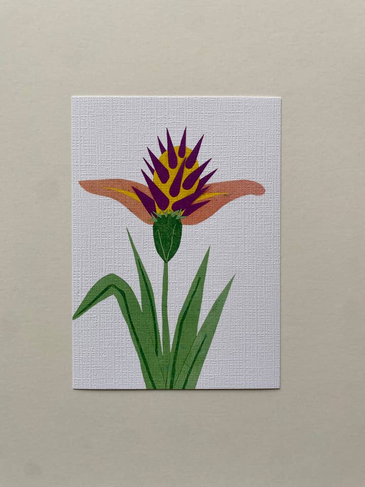 Greater Golden Spikepuffin print for wholesale by Nevada Tribble Art