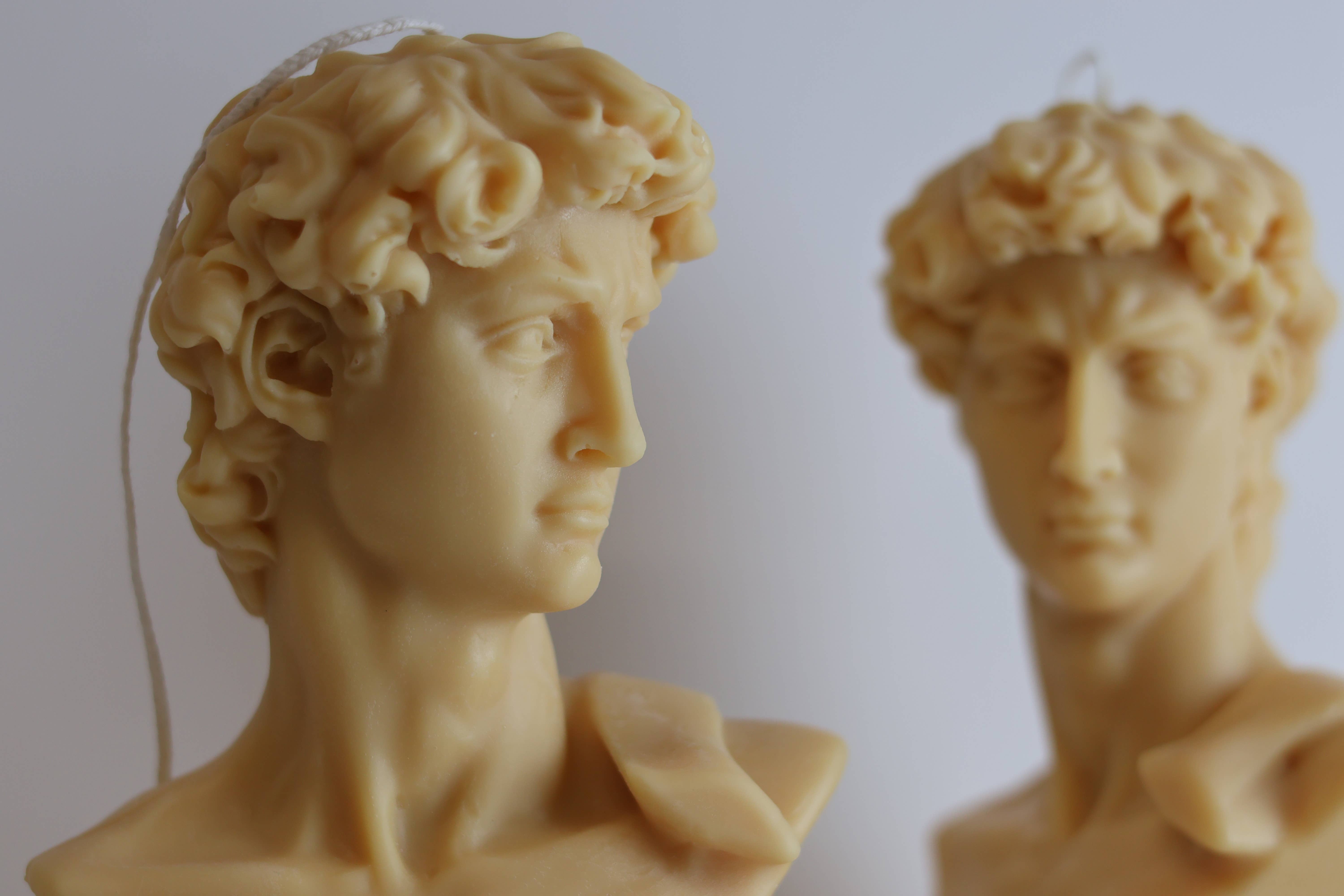 Agaboo Candle - Wholesale Novelty Candle - David Head Candle 5.5x5in - Sculptural4