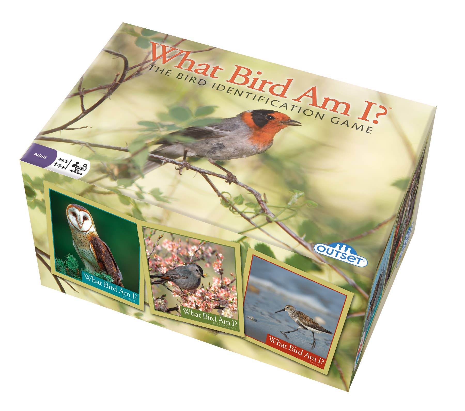 Outset Games and Cobble Hill Puzzles - Wholesale Card Game - What Bird Am I? Game - The Ultimate Birding Challenge