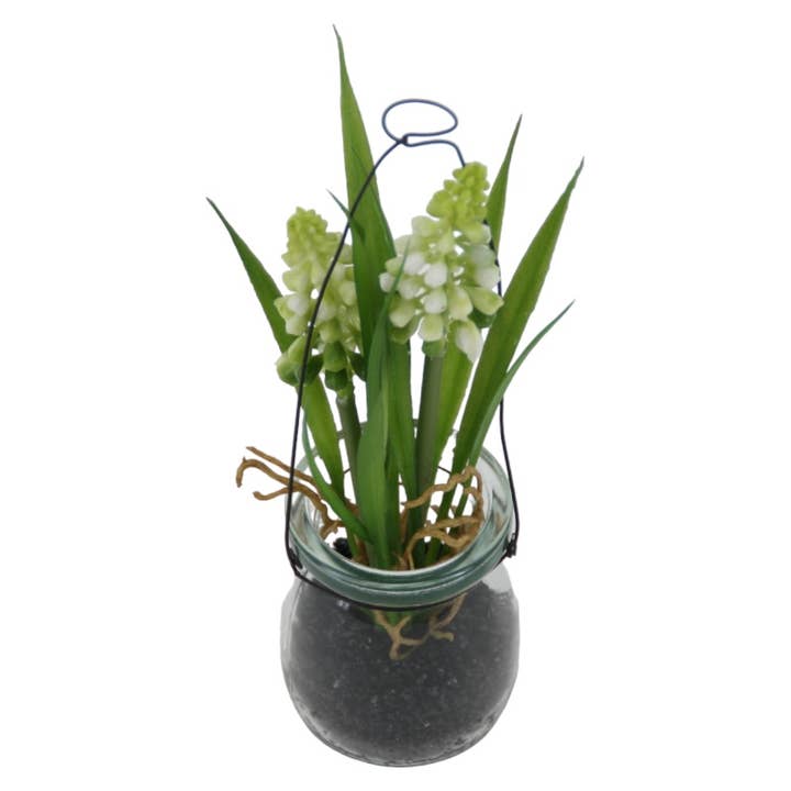 Grape hyacinth x 2, 21 cm in white glass for wholesale by Floratexx