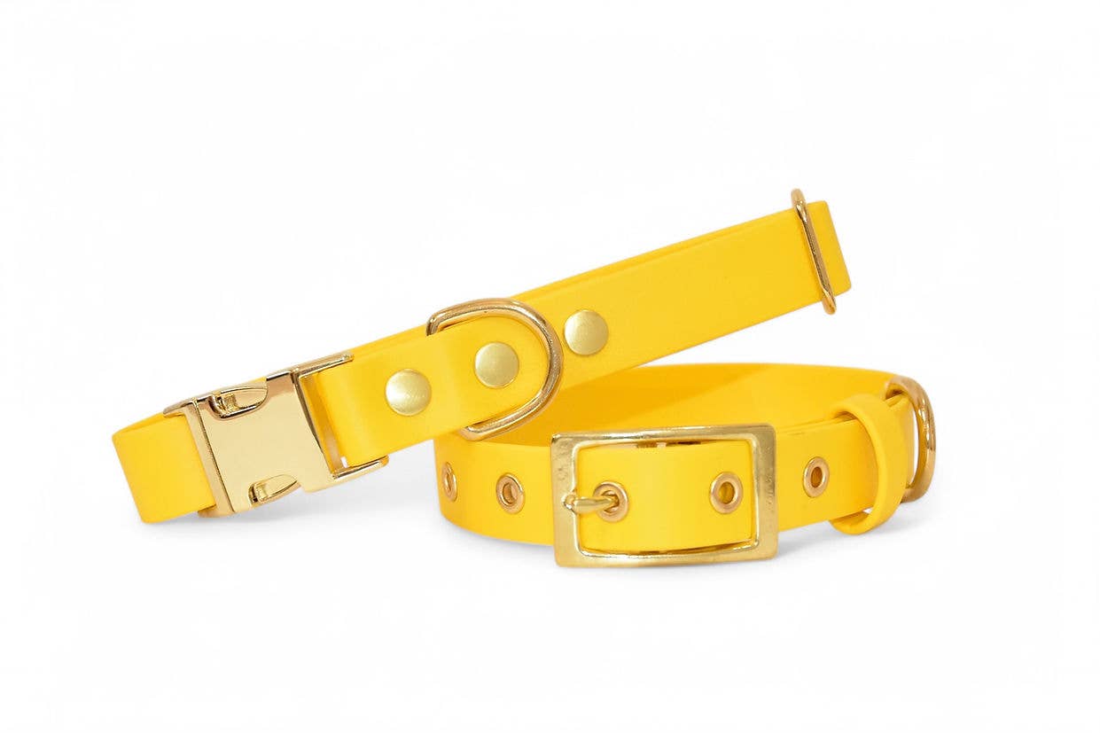 Pompon & Pets – wholesale Halsband - Hund – Gult halsband i Biothane0