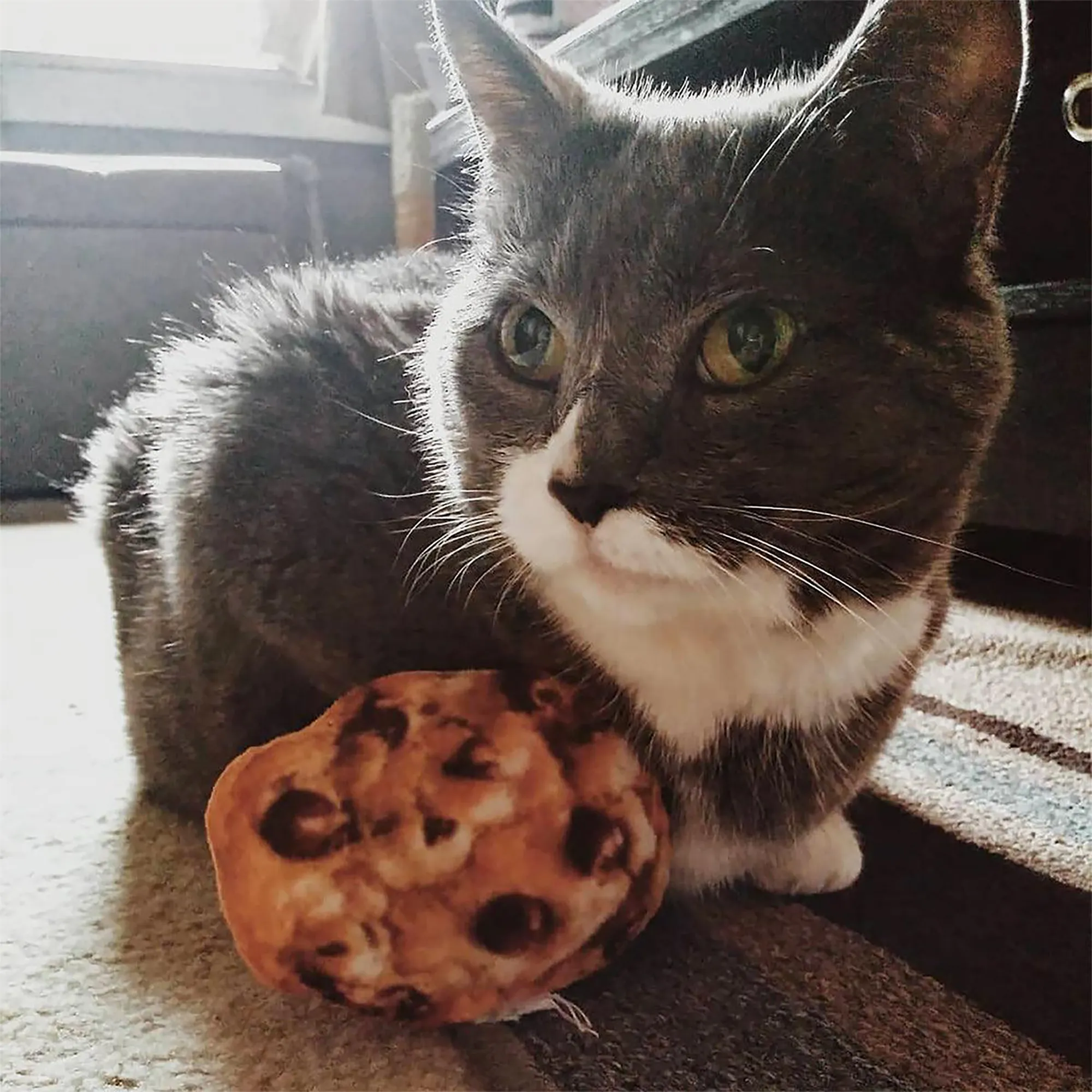 SmarterPaw | Meowijuana & Doggijuana – wholesale Leksak - Katt – Meowijuana® Get Baked Cookie Påfyllningsbar Kattleksak10