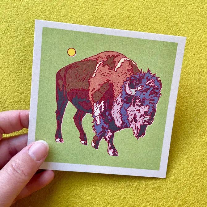Caroline Clark - Wholesale Postcard - Desert Animal Postcards - Single Design 4 pack