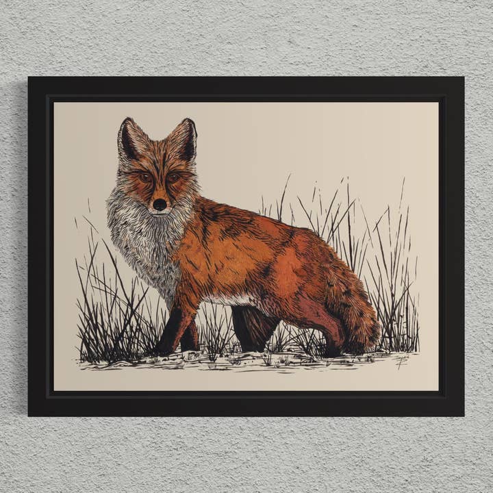 Volpe rossa. Stampa artistica giclée a penna e inchiostro disegnata a mano per la vendita all'ingrosso da parte di Tony Rubsam Illustrations