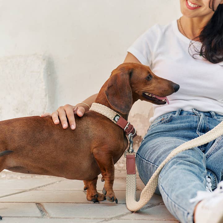 CAFIDE – coleira - Cão por atacado – Colar Couro Vegan Castanho, Corda