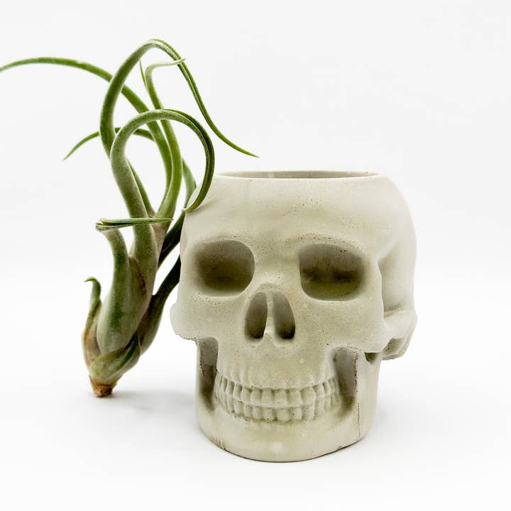 The Plant Supply - Wholesale Plant Pot - Skull Concrete Planter | Western Halloween Plant Decor2