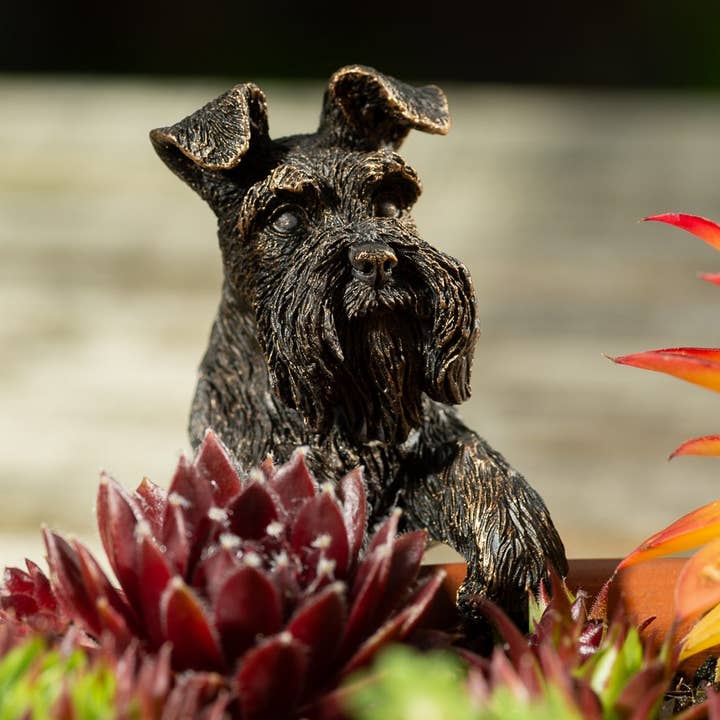 Antique Bronze Coloured Schnauzer Pot Buddy Plant Pot Hanger for wholesale by Jardinopia UK