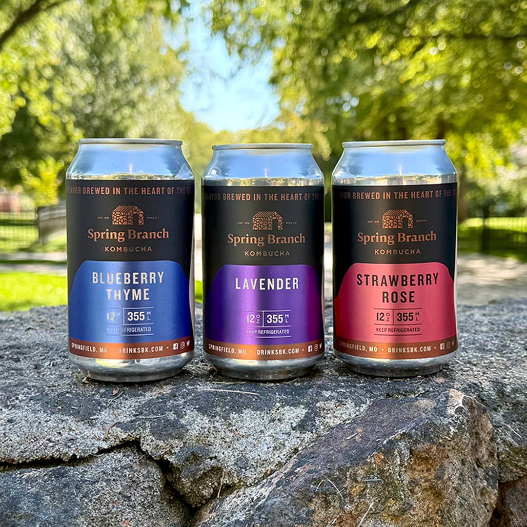 Spring Branch Kombucha - Wholesale Kombucha - Zen Trio Kombucha Variety 12-Pack1