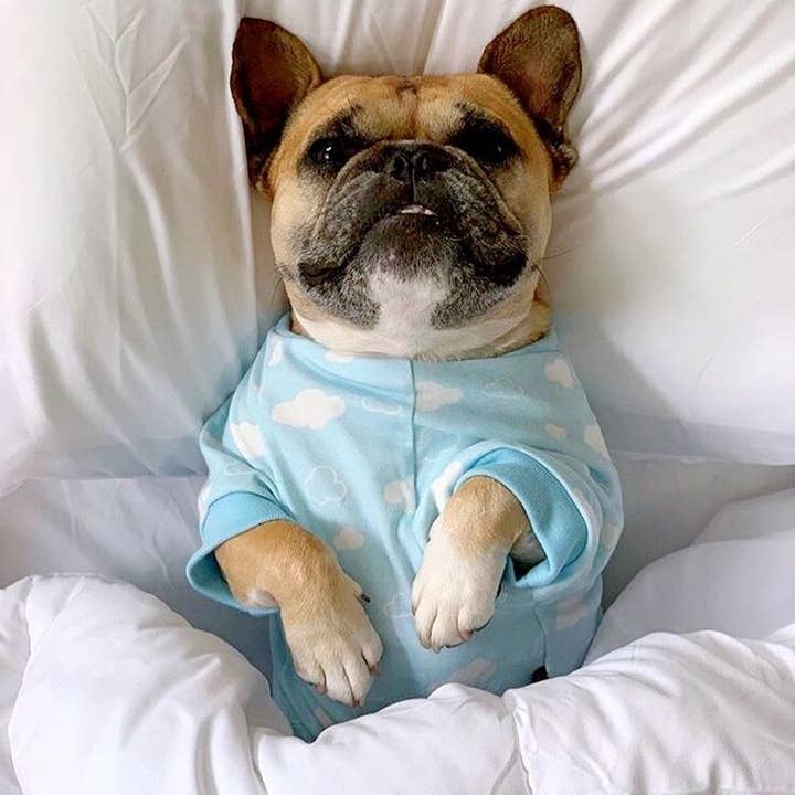 Parisian Pet® - Wholesale Pet Pajamas - Dog - Blue Cloud Pajama – Comfy & Warm Dog Pajamas for Bedtime4