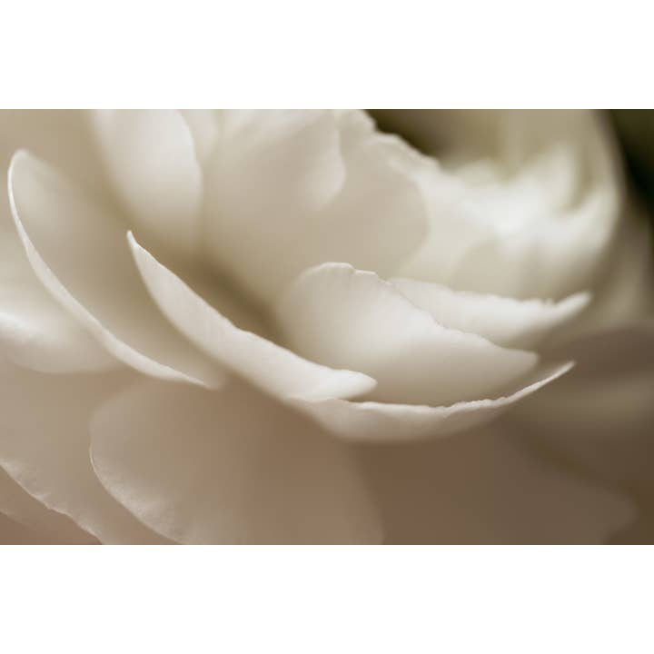 Pouring Out My Heart Fine Art Print for wholesale by Christi Kraft Photography