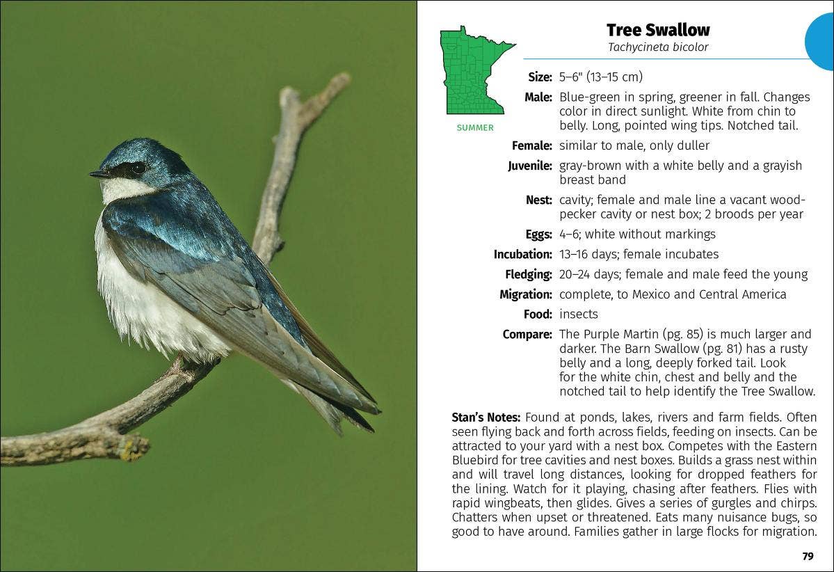 AdventureKEEN - Wholesale Nature & Outdoors - Birds of Minnesota Field Guide 3e4