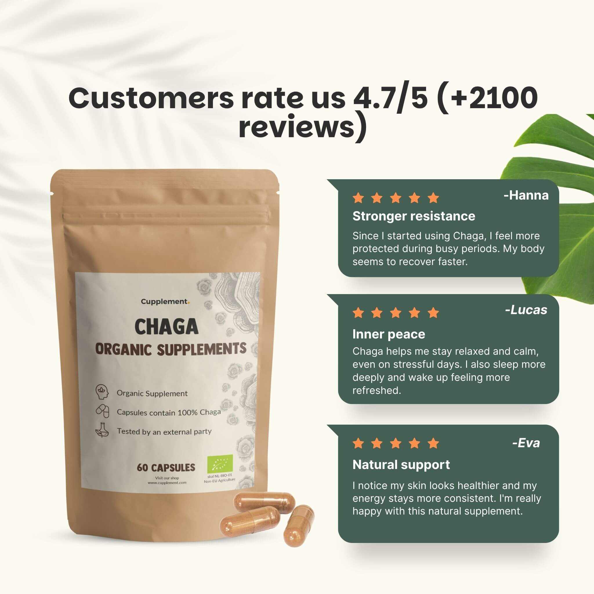 Cupplement b.v. - Wholesale Oral Supplement/Vitamin - Chaga Capsules 500 mg Organic -  60 Capsules5