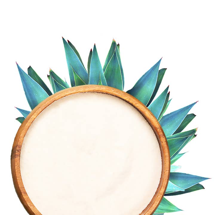 Amoseeds - Wholesale Protein/Superfood Powder - Organic Agave Inulin 250G4