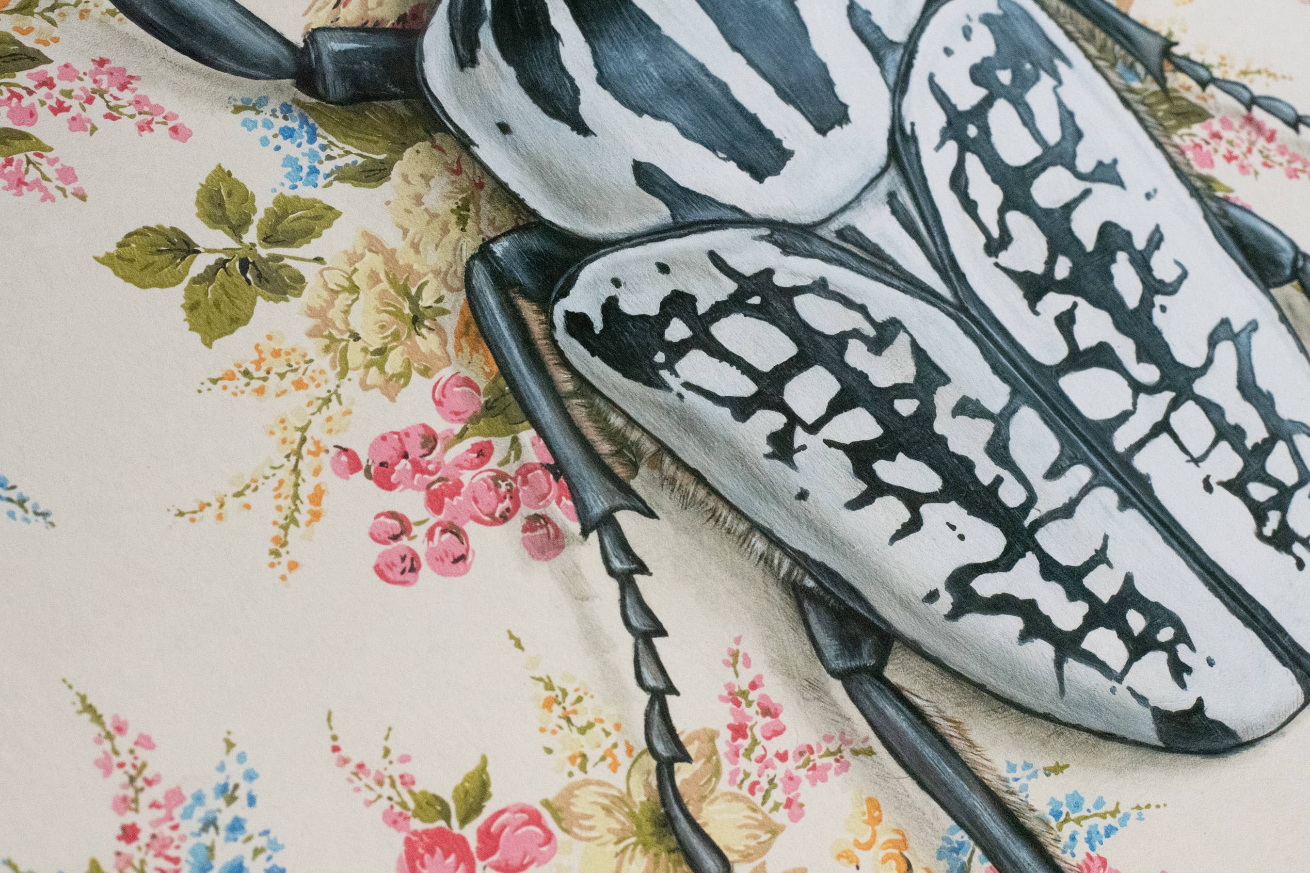 Emily Uchytil - Wholesale Art Print - Goliath Beetle - Fine Art Print - Insect Illustration - Gift1