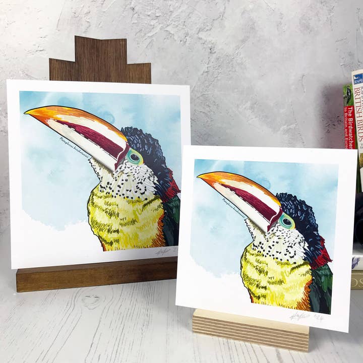 Curl-crested Aracari Bird Print for wholesale by Loadofolbobbins
