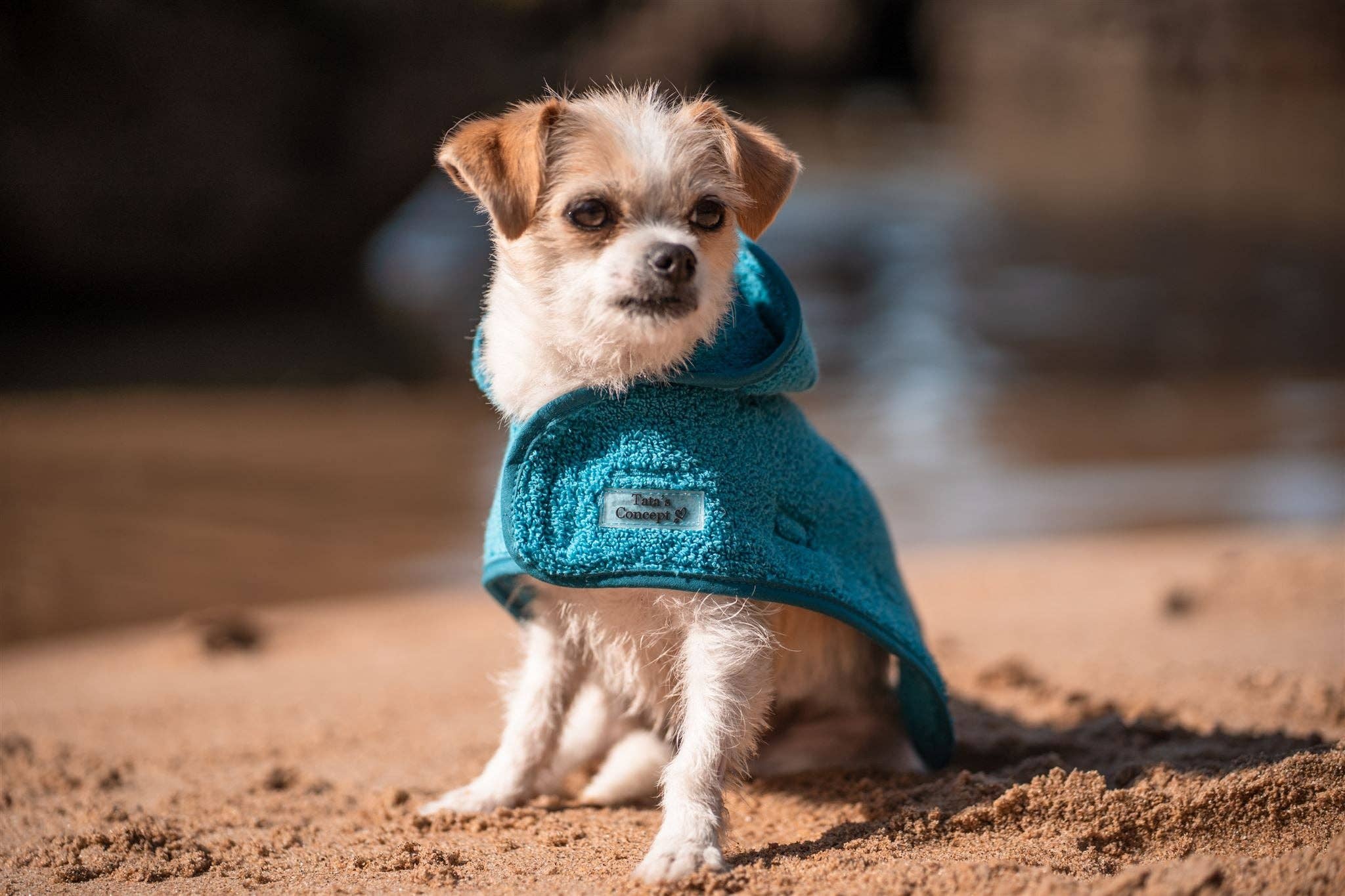 Tata’s Concept – Poncho para cão - Cão por atacado – Ponchos 1ª Edição (2022)0