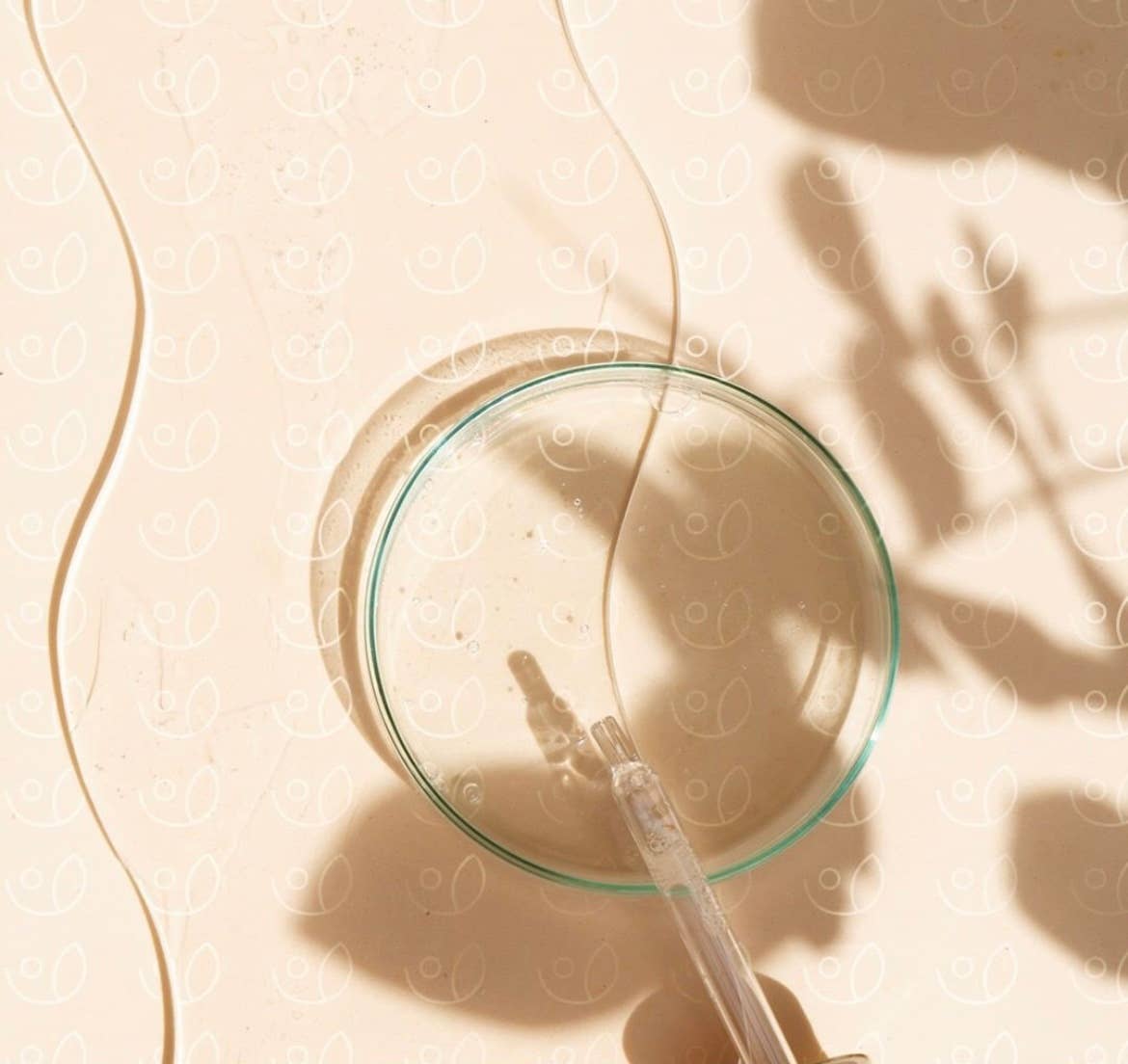 Oleam – Engroshandel Ansigtsserum – Anti-aging stramningseffekt ansigtsserum Fremstillet i Italien6