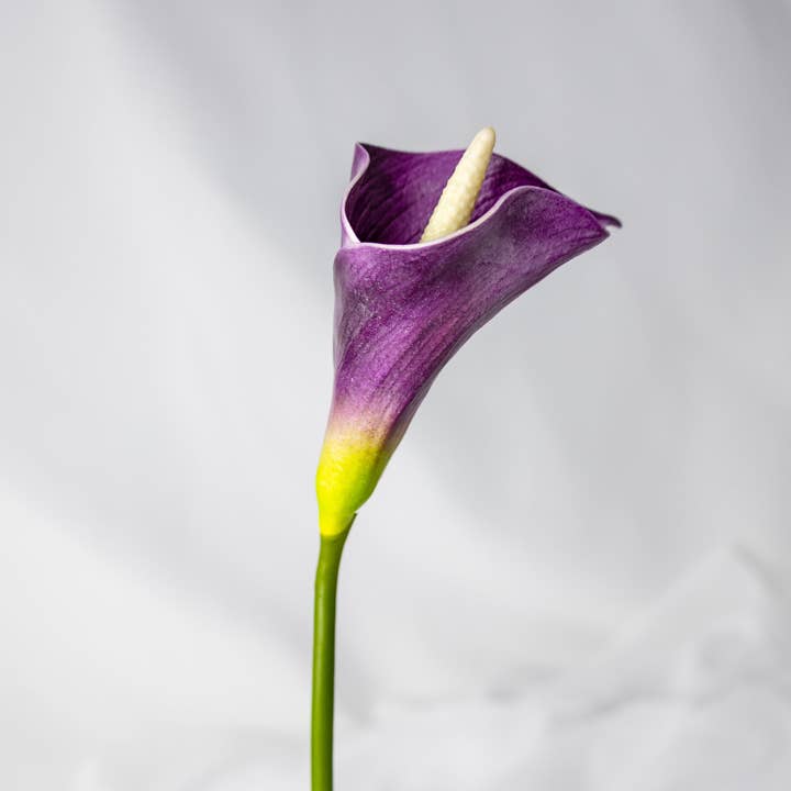 Realistic Artificial Flowers - Venta al por mayor Flores artificiales - Lirio de Cala Mini Malva - Flores Artificiales Realistas