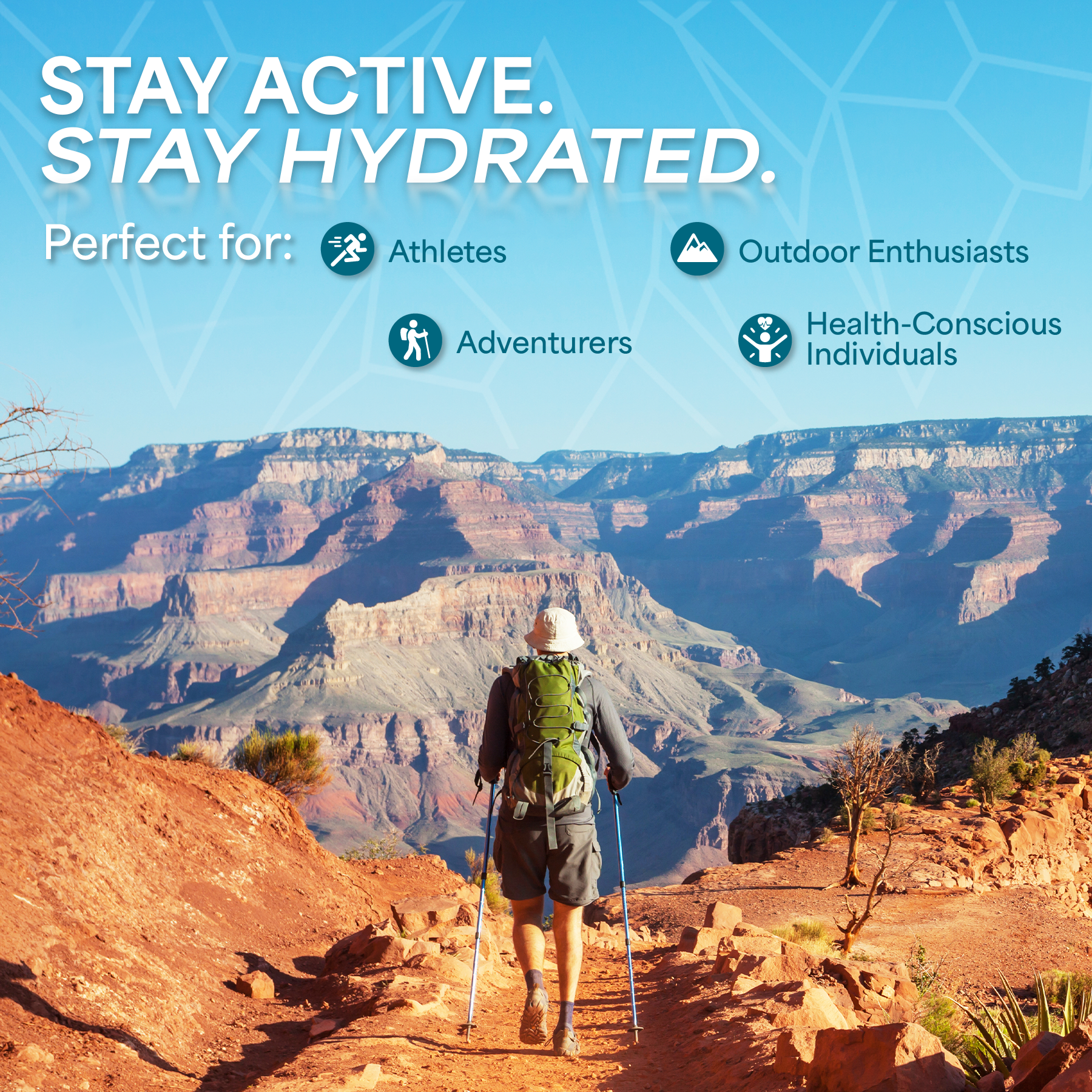 Icebreakers Artesian Spring Water - Wholesale Still Water - Icebreakers Artesian Spring Water – 16.9 oz Premium 24-Pack1