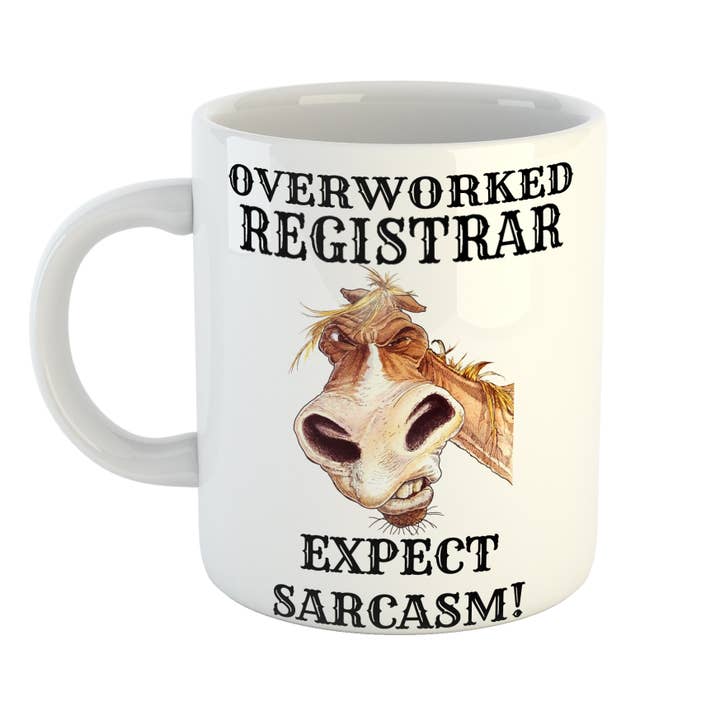 Overworked Registrar Sarcasm Mug for wholesale by Just The Shirt