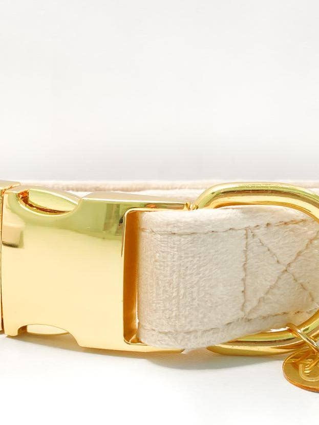 Chai Velvet Dog Collar for wholesale by Woofiao