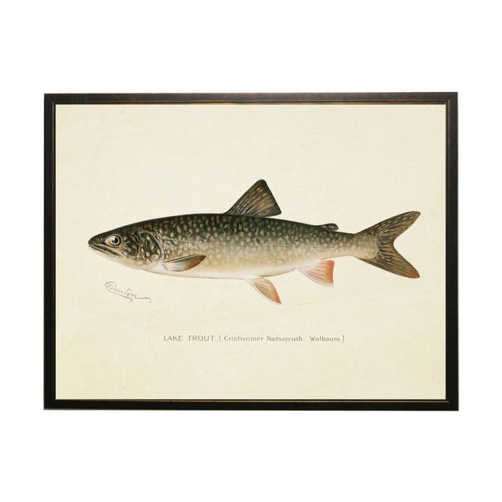 Ex-libris vintage Lake Trout et autres tendances Résultats pour truite en vente B2B. Retours gratuits et paiement à 60 jours sur Faire sur Faire.