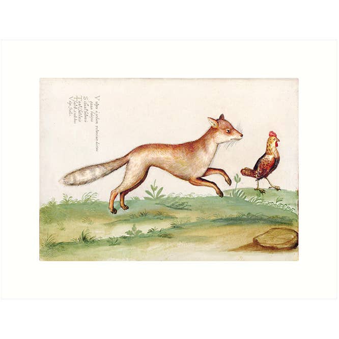 Fox & Rooster | Blank Greeting Card for wholesale by Lucca Paperworks