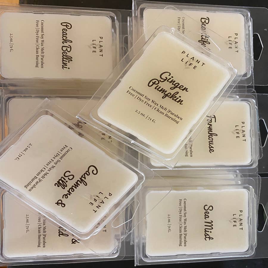 Up North Woods Soy Wax Blend Scented Wax Melts  Pine Scented Wax Melt –  West Michigan Candle Co.