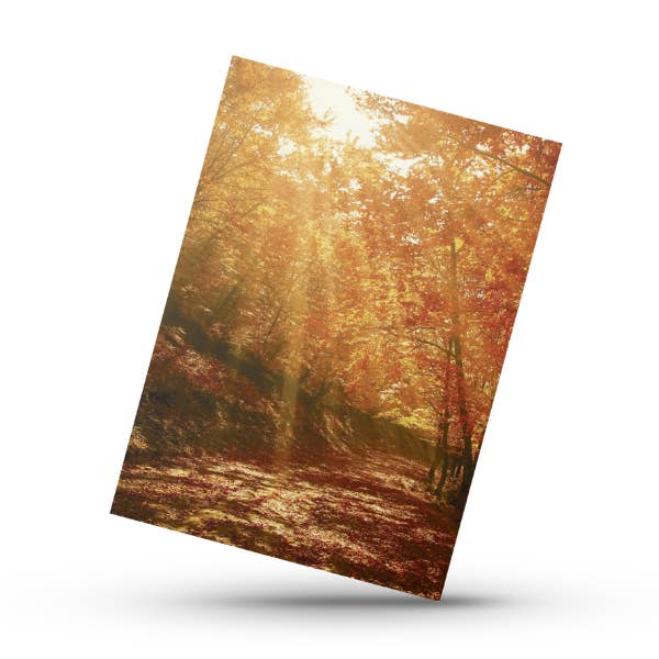 Autumn Leaves 2 (Mini Card) for wholesale by Kortspecialisten