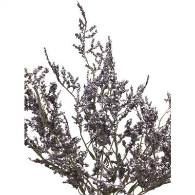 David Christopher's Collection - Wholesale Artificial Flowers - Faux Dried Caspia Bush - Purple 14''1