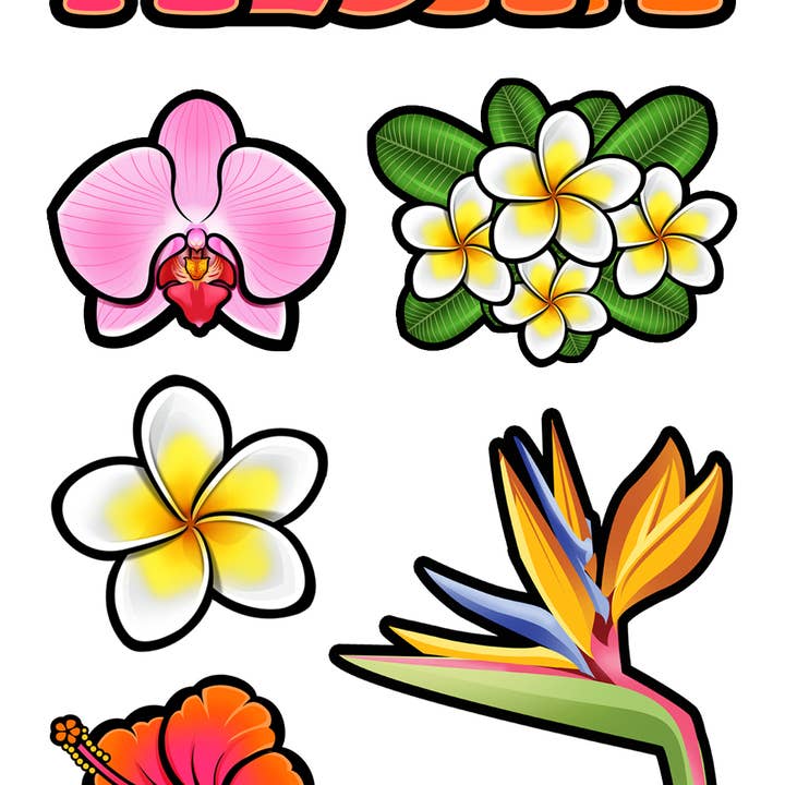 Assorted Flowers Sticker Sheet - Set of 10 sheets for wholesale by Aurora Stickers