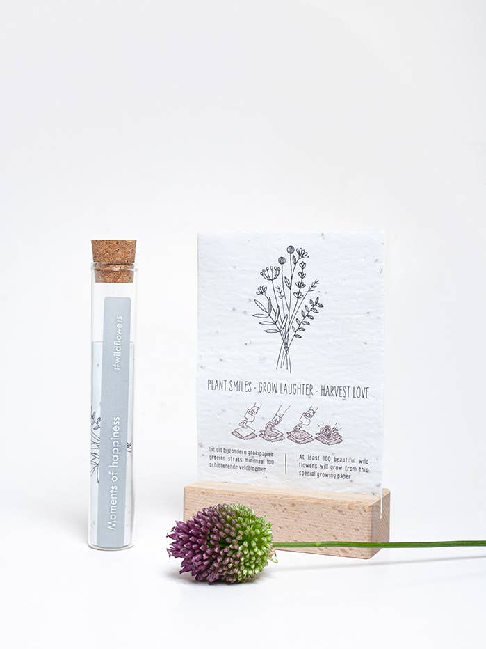 100 moments of happiness - moments of happiness | wildflower for wholesale by Kop op!