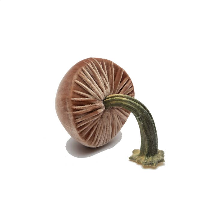 Hot Skwash - Wholesale Decorative Tabletop Object - Small Latte Mushroom1