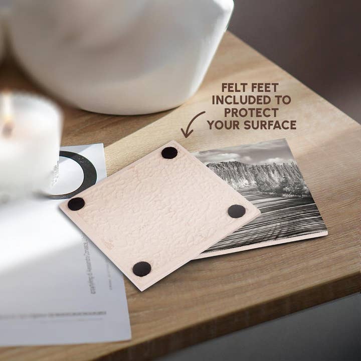 3dRose - Wholesale Coasters - 3dRose, Alaska, Denali National Park. Road winding through Denali., Coaster3