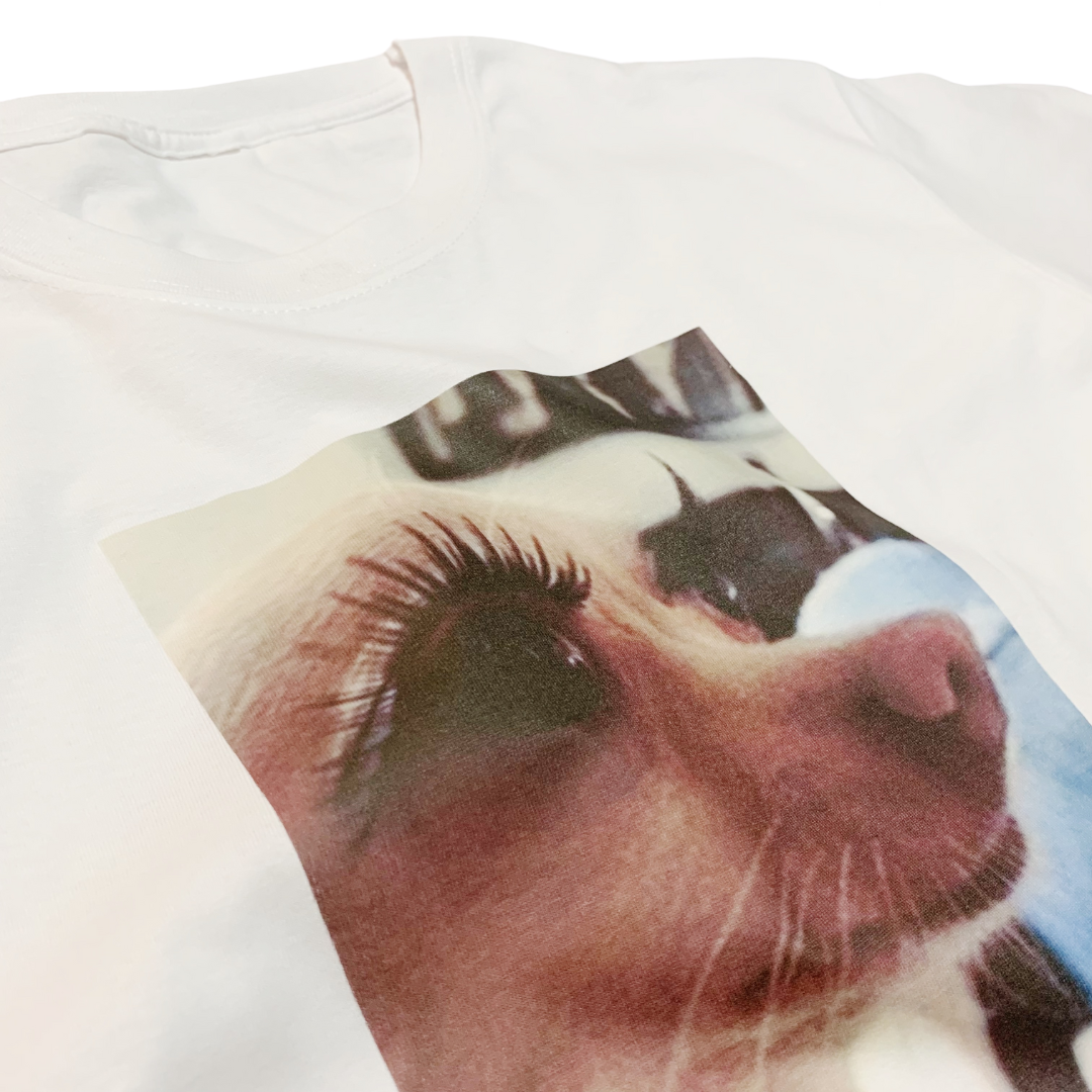 ZZZEBRAAA LIMITED – Großhandel T-Shirt mit Siebdruck – Damen – Sassy Dog Meme T-Shirt mit Wimpern auf Fleek Y2K Aesthetic1