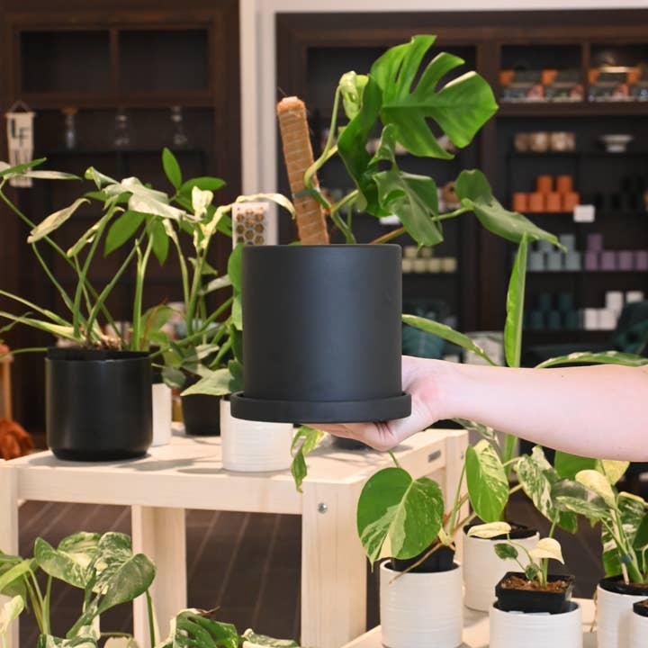 Gordon Pot for wholesale by Lost in the Forrest