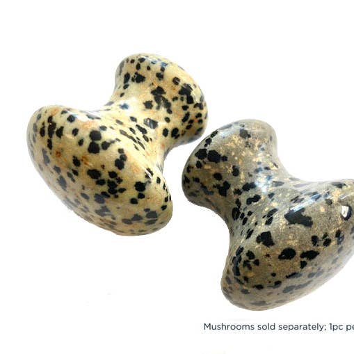 CJB Dalmatian Mushroom for wholesale by Inner Beauty Shop