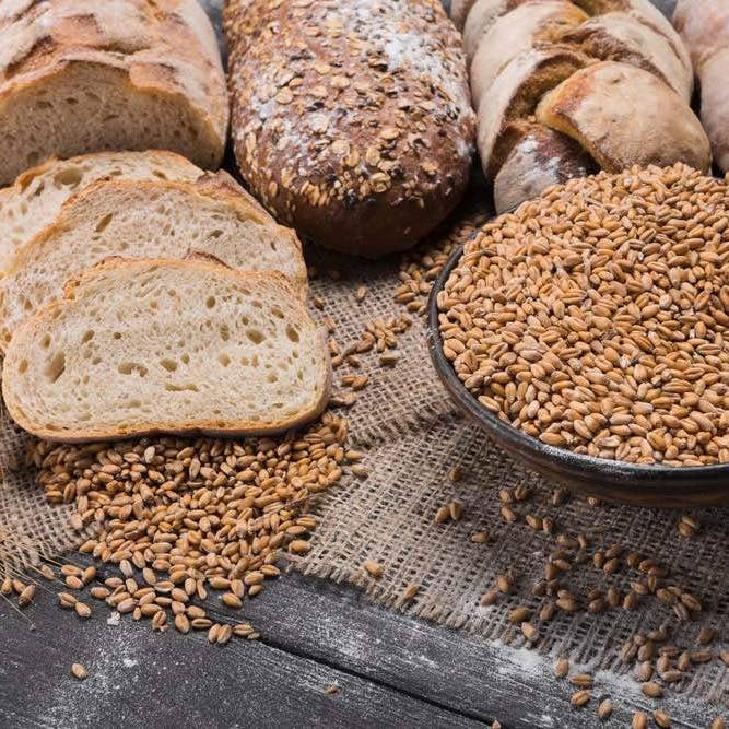 Food To Live – wholesale Plant seeds – Organic Rye Berries – Raw, Bulk Seeds, Product of the USA
