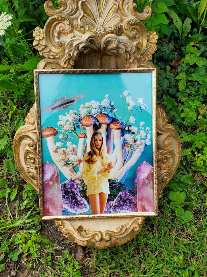 "Playmate" UFO Mushroom Collage for wholesale by Lapis Lily Market
