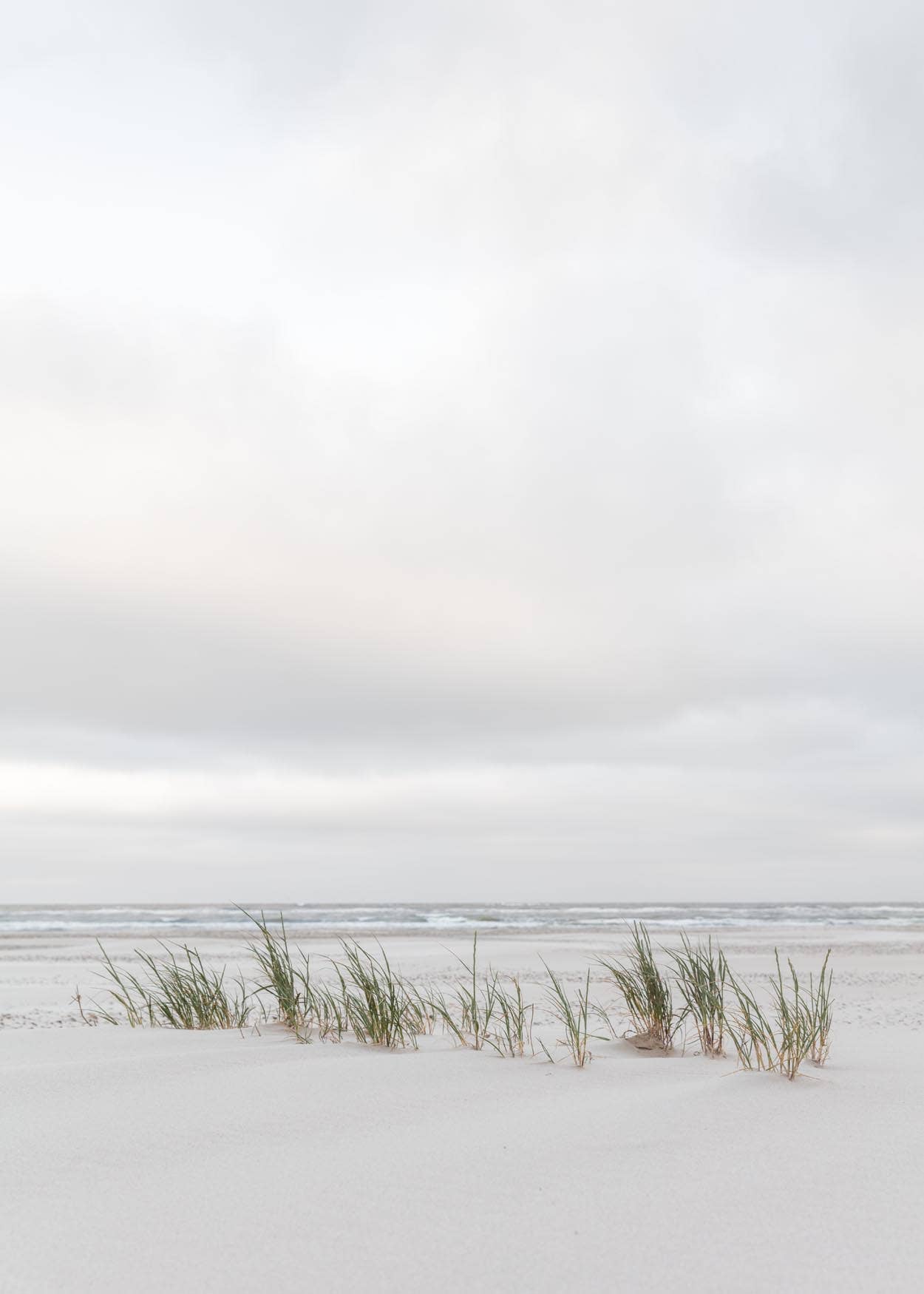 Foto Factory – wholesale Konsttryck – Strand gräs affisch1