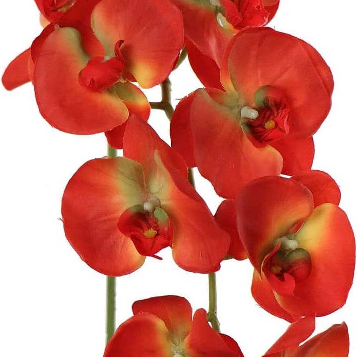 Artificial Orchid Stems Phalaenopsis Flowers Orange, 33.5" for wholesale by Larksilk
