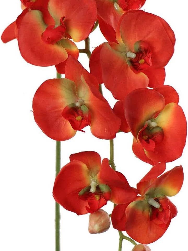 Artificial Orchid Stems Phalaenopsis Flowers Orange, 33.5" for wholesale by Larksilk