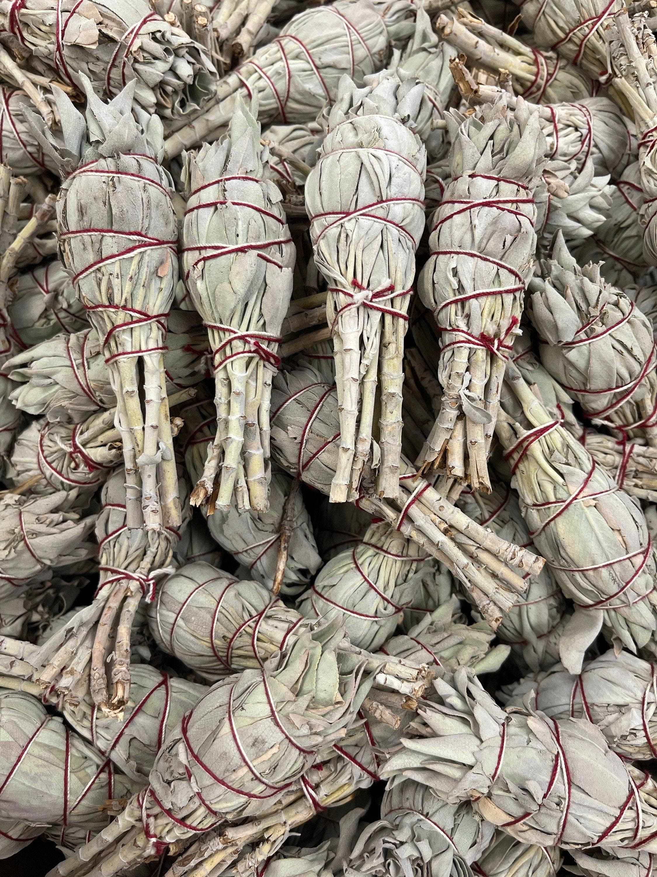 CaNatureLover – wholesale Salviabunt – ORGANISK ficklampa Sage Smudge pinnar,1.51