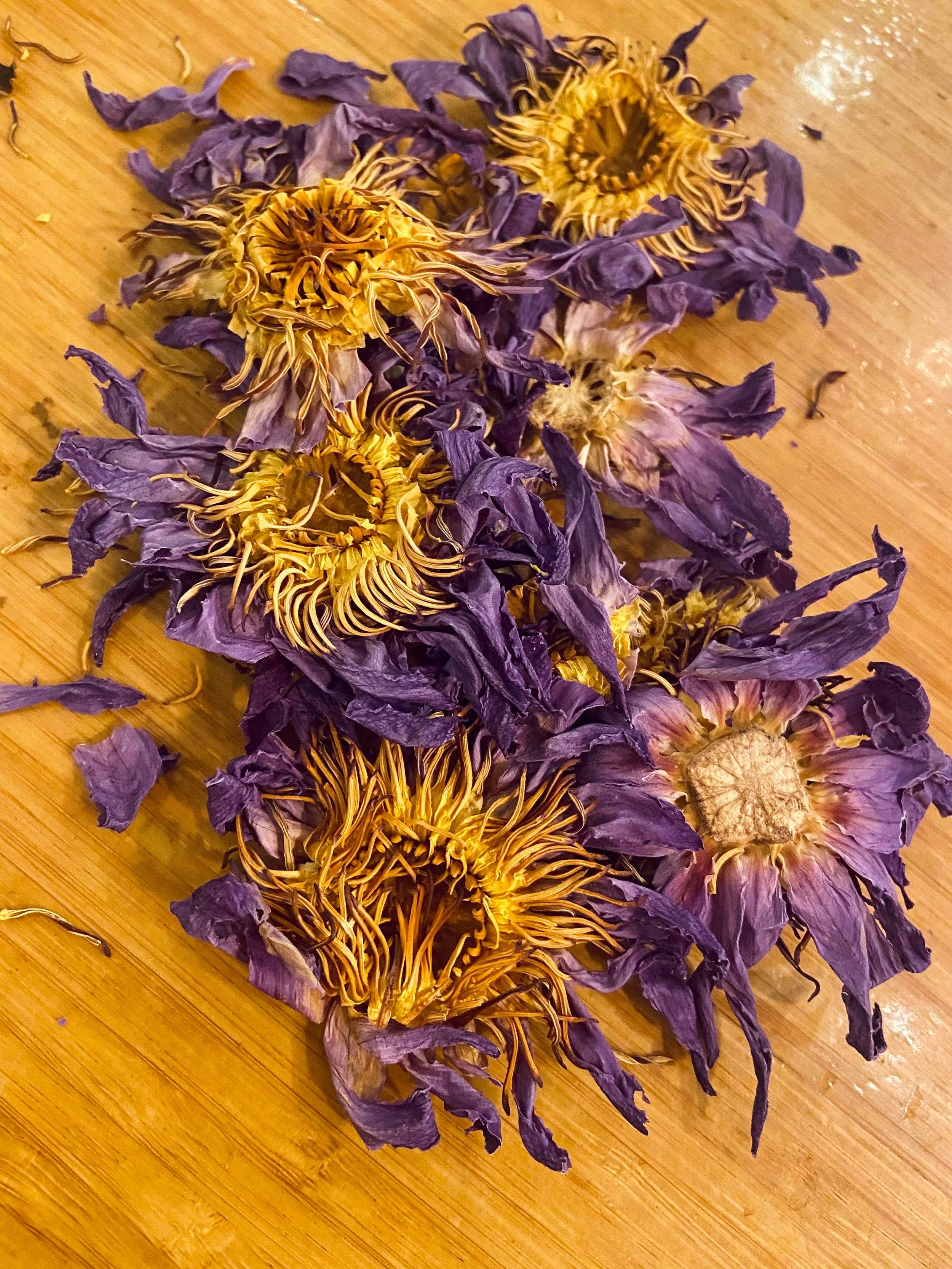 Rainbow Bliss Botanicals – wholesale Loose tea – Blue Lotus Petals: Premium Sri Lankan1