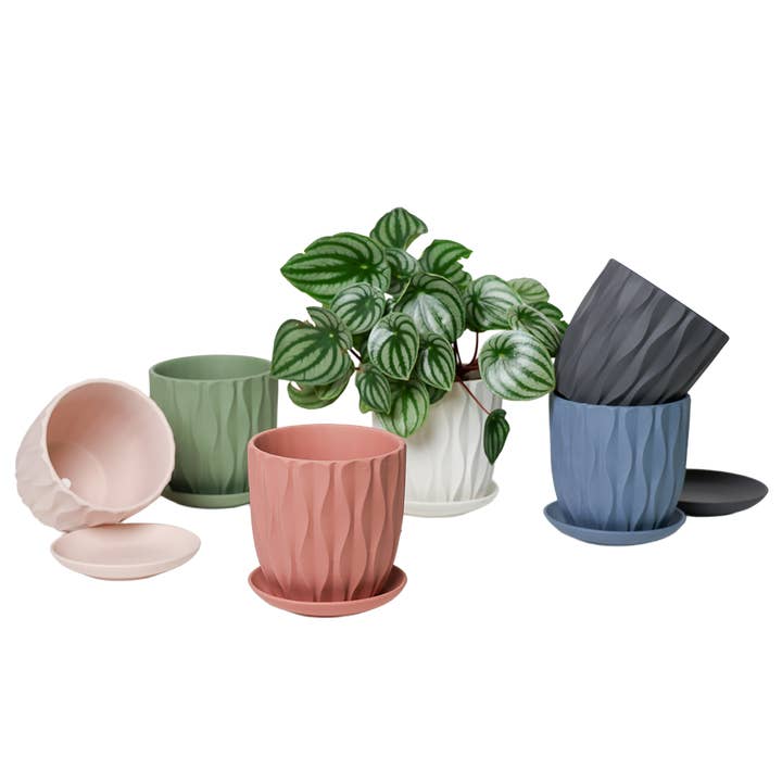 Chive - Wholesale Plant Pot - Handmade Ceramic Virago Pots | Artisan Plant Planters39