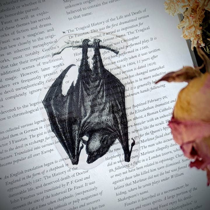 Clear Bookmark - Vintage Hanging Bat Goth Dark Academia for wholesale by Dark Veinlet