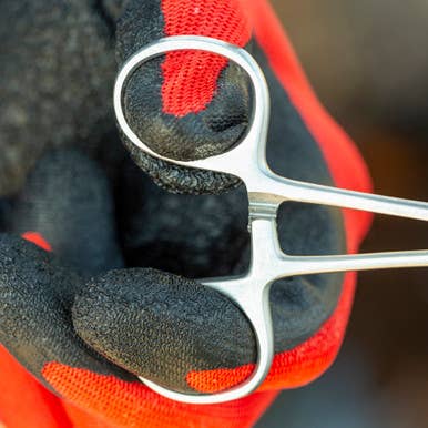 Smiths - Wholesale Kitchen Tool/Gadget - 6.5" Fly Fishing Forceps2