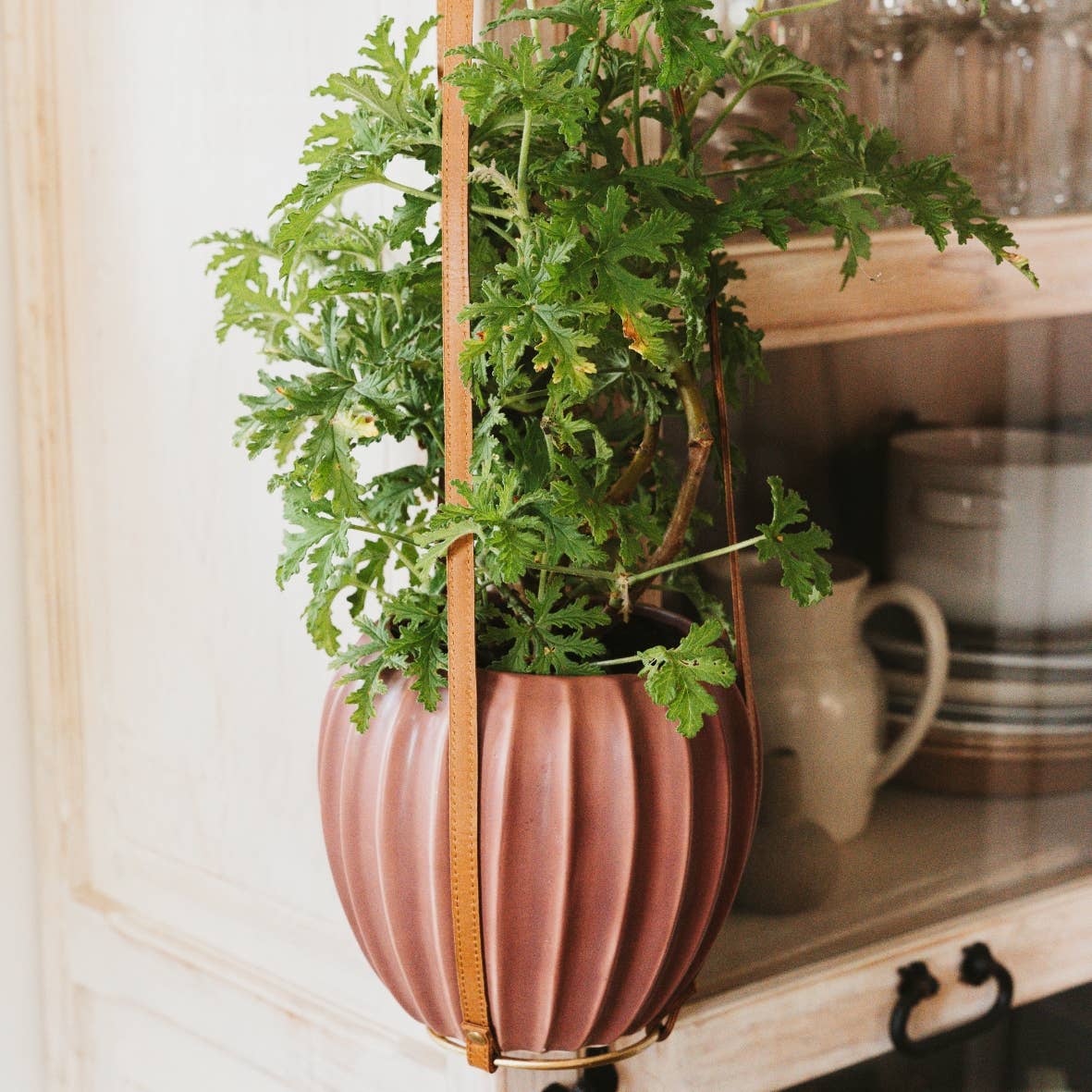OMOM - Wholesale Grocery/Shopping Bag - OMOM Hanging planter in vegetable-tanned l4